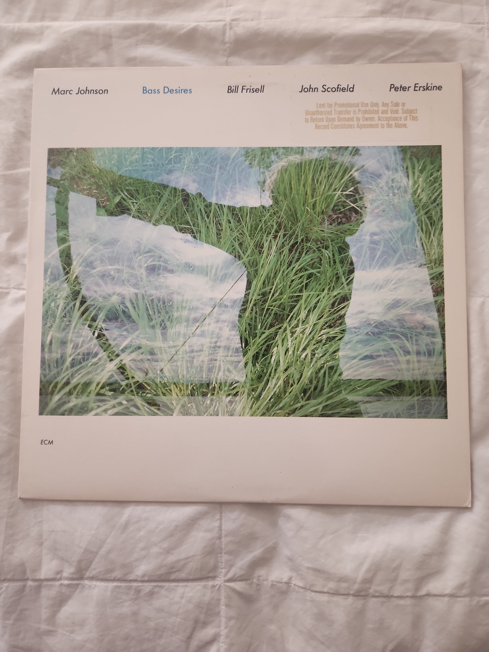 Marc Johnson Bass Desires Vinyl Record — DJ COPY NEVER PLAYED RARE GEM NM EX